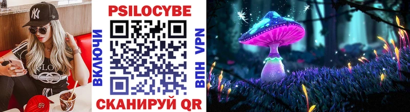 купить наркотики цена кракен зеркало Галлюциногенные грибы MAGIC MUSHROOMS Спасск-Дальний