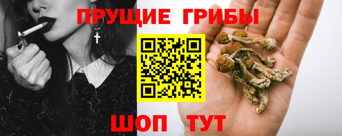 Галлюциногенные грибы MAGIC MUSHROOMS Спасск-Дальний