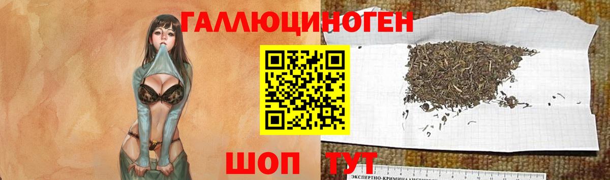 Галлюциногенные грибы Cubensis  Вход с VPN  Спасск-Дальний 